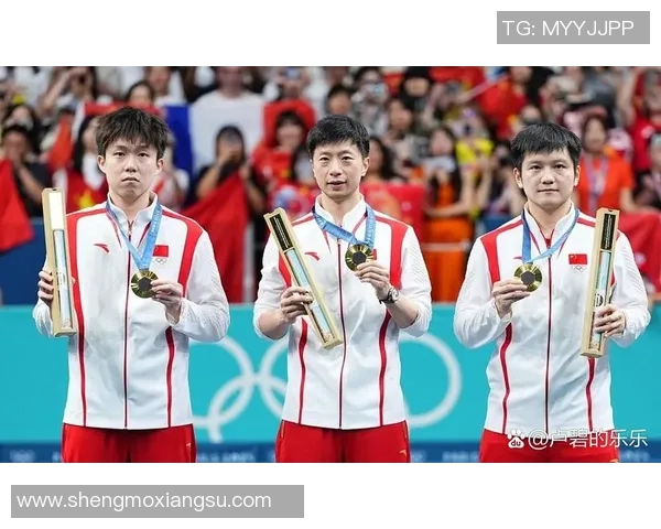 杭州乒乓球队的节奏体系与战术运用探讨之旅