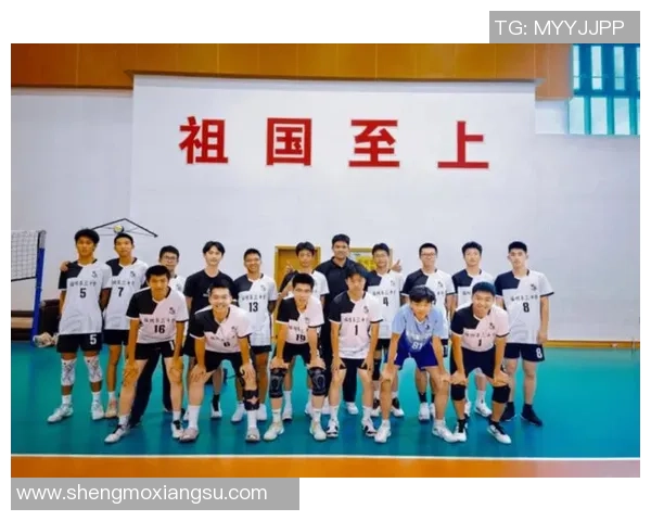 武汉排球队荣登全国排球配合排行榜第二名展现强大实力与团队默契